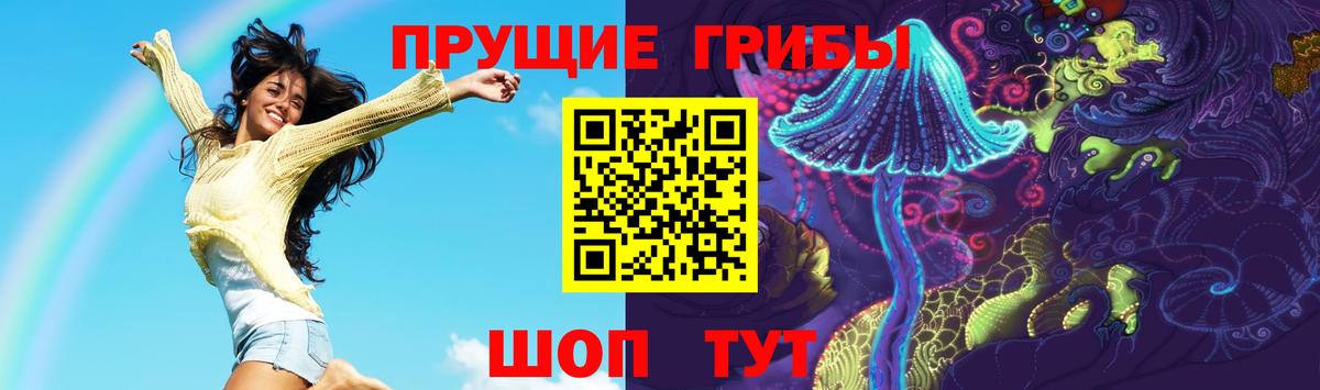 Кунгур  Псилоцибиновые грибы Psilocybe  Вход с VPN  Псилоцибиновые грибы GOLDEN TEACHER 