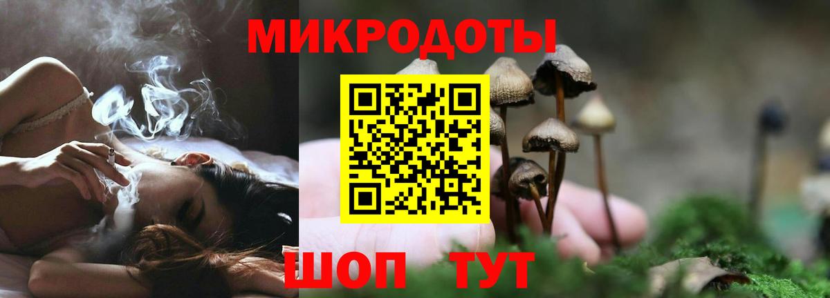 Галлюциногенные грибы Psilocybe Кунгур